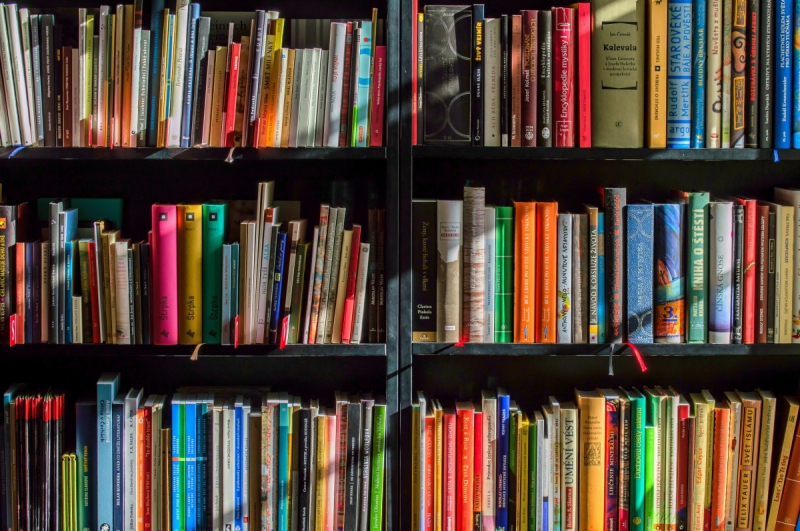 vente-BELGENTIER-min_books_bookstore_book_reading_shop_writer_sale_books_read-822866